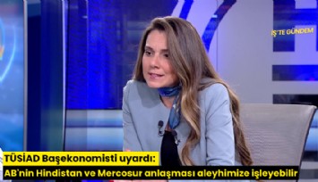 TÜSİAD Başekonomisti uyardı: AB'nin Hindistan ve Mercosur anlaşması aleyhimize işleyebilir