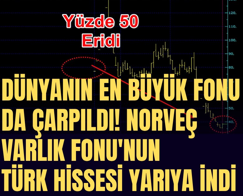 Dünyanın en büyük fonu da çarpıldı! Norveç Varlık Fonu'nun Türk hissesi yarıya indi