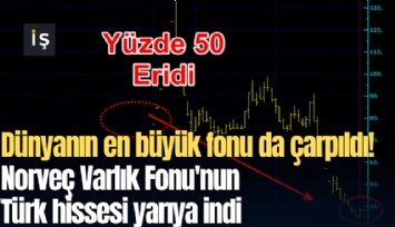 Dünyanın en büyük fonu da çarpıldı! Norveç Varlık Fonu'nun Türk hissesi yarıya indi