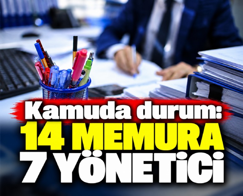 Kamuda durum: 14 memura 7 yönetici