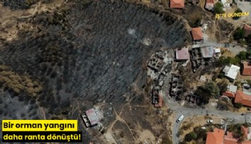 Bir orman yangını daha ranta dönüştü!