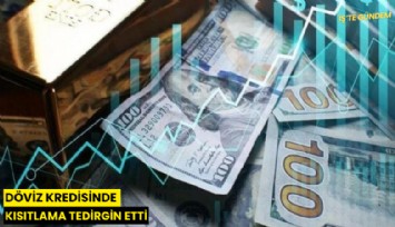 Döviz kredisinde kısıtlama tedirgin etti