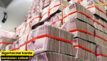Sigortacılar karda bankaları solladı