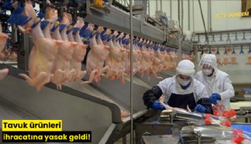 Tavuk ürünleri ihracatına yasak geldi!