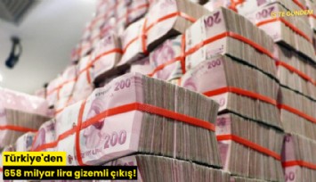 Türkiye'den 658 milyar lira gizemli çıkış!
