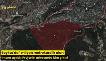 Beykoz'da 1 milyon metrekarelik alan imara açıldı: Projenin arkasında kim çıktı?