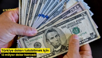 Türkiye doları tutabilmek için 12 milyar dolar harcadı