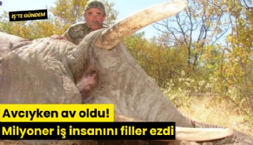 Avcıyken av oldu! Milyoner iş insanını filler ezdi