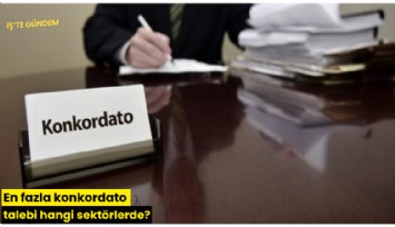 En fazla konkordato talebi hangi sektörlerde?