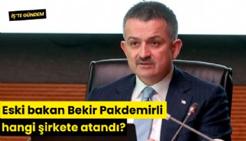 Eski bakan Bekir Pakdemirli hangi şirkete atandı?