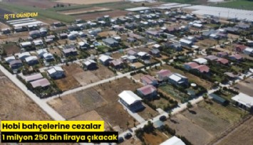 Hobi bahçelerine cezalar 1 milyon 250 bin liraya çıkacak