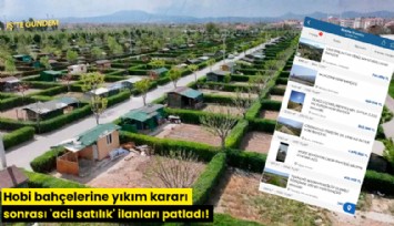 Hobi bahçelerine yıkım kararı sonrası 'acil satılık' ilanları patladı!