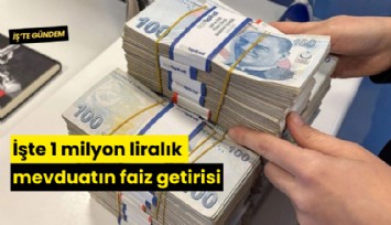 İşte 1 milyon liralık mevduatın faiz getirisi