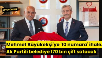 Mehmet Büyükekşi'ye '10 numara' ihale... Ak Partili belediye 170 bin çift satacak