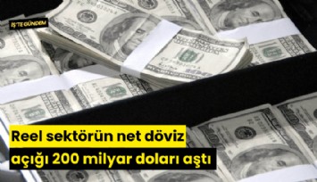 Reel sektörün net döviz açığı 200 milyar doları aştı