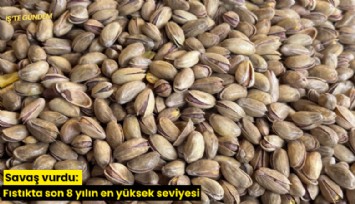 Savaş vurdu: Fıstıkta son 8 yılın en yüksek seviyesi