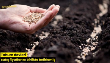 Tohum devleri satış fiyatlarını birlikte belirlemiş