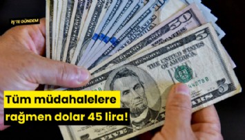 Tüm müdahalelere rağmen dolar 45 lira!