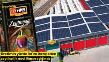 Üretimin yüzde 90'ını ihraç eden zeytincilik devi iflasın eşiğinde