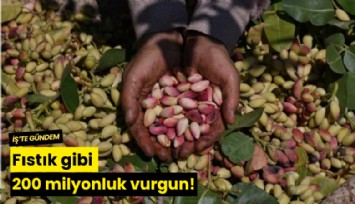 Fıstık gibi 200 milyonluk vurgun!