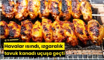 Havalar ısındı, ızgaralık tavuk kanadı uçuşa geçti