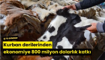 Kurban derilerinden ekonomiye 800 milyon dolarlık katkı