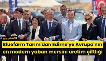 Bluefarm Tarım'dan Edirne'ye Avrupa'nın en modern yaban mersini üretim çiftliği