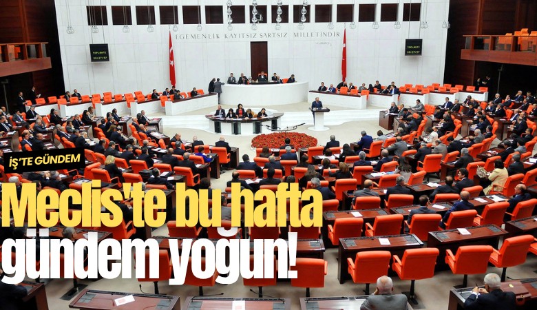Meclis'te bu hafta gündem yoğun!