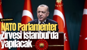 NATO Parlamenter Zirvesi İstanbul'da yapılacak
