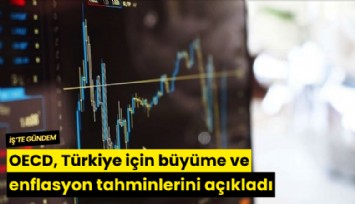 OECD, Türkiye için büyüme ve enflasyon tahminlerini açıkladı