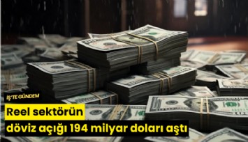 Reel sektörün döviz açığı 194 milyar doları aştı