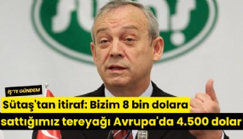 Sütaş'tan itiraf: Bizim 8 bin dolara sattığımız tereyağı Avrupa'da 4.500 dolar