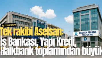 Tek rakibi Aselsan: İş Bankası, Yapı Kredi, Halkbank toplamından büyük finans devi