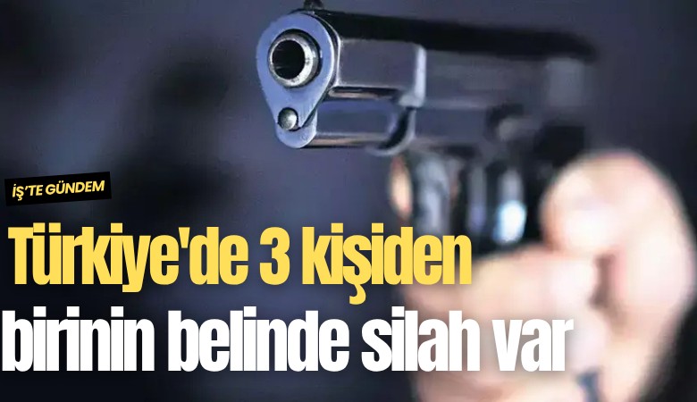 Türkiye'de 3 kişiden birinin belinde silah var