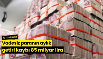 Vadesiz paranın aylık getiri kaybı 85 milyar lira