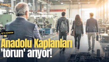 Anadolu Kaplanları 'torun' arıyor!