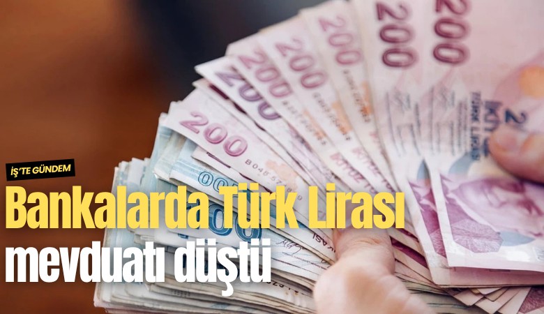 Bankalarda Türk Lirası mevduatı düştü