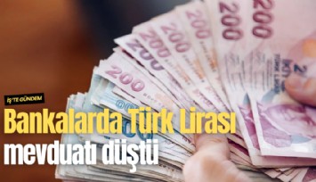 Bankalarda Türk Lirası mevduatı düştü