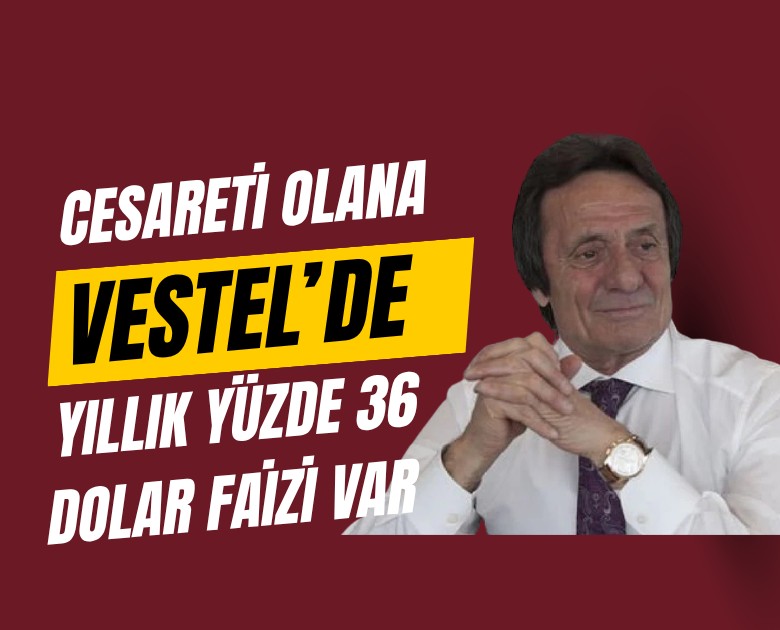 Cesareti olana Vestel'de yıllık yüzde 36 dolar faizi mi var?