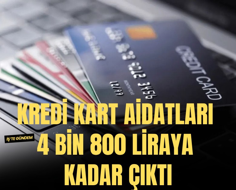 Kredi kart aidatları 4 bin 800 liraya kadar çıktı