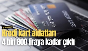 Kredi kart aidatları 4 bin 800 liraya kadar çıktı