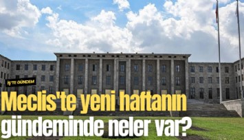Meclis'te yeni haftanın gündeminde neler var?