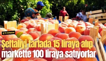 Şeftaliyi tarlada 15 liraya alıp markette 100 liraya satıyorlar