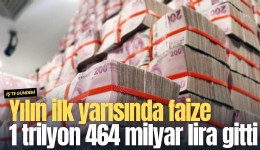 Yılın ilk yarısında faize 1 trilyon 464 milyar lira gitti