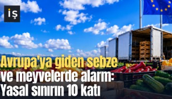 Avrupa'ya giden sebze ve meyvelerde alarm: Yasal sınırın 10 katı