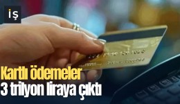 Kartlı ödemeler 3 trilyon liraya çıktı