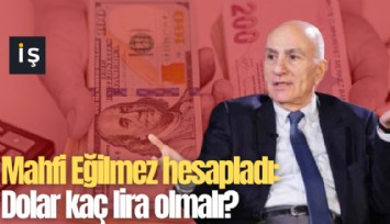 Mahfi Eğilmez hesapladı: Dolar kaç lira olmalı?