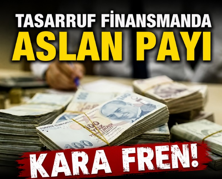 Tasarruf finansmanda aslan payı kara fren!