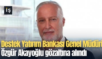 Destek Yatırım Bankası Genel Müdürü Özgür Akayoğlu gözaltına alındı