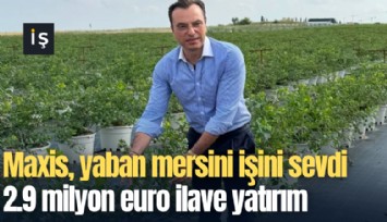 Maxis, yaban mersini işini sevdi, 2.9 milyon euro ilave yatırım yapacak
